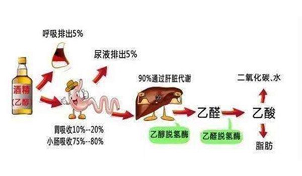 1瓶啤酒几小时吹不出来 具体还是因人而异