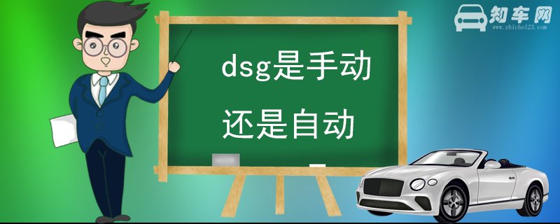 dsg是手动还是自动