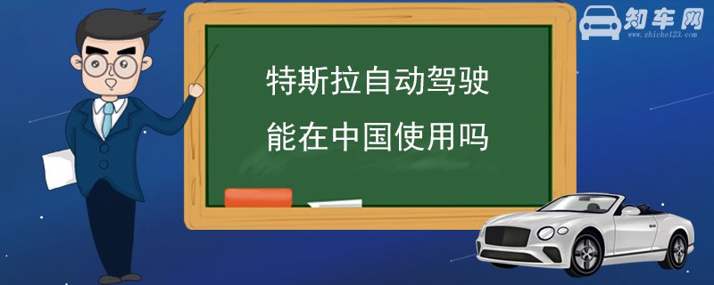 特斯拉自动驾驶能在中国使用吗