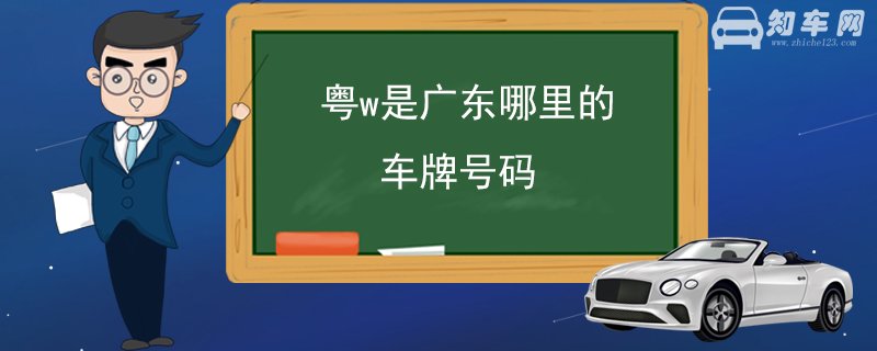 粤w是广东哪里的车牌号码