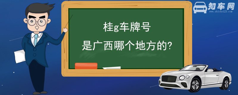 桂g车牌号是广西哪个地方的?