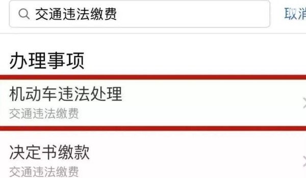 违章罚单丢了怎么网上缴费