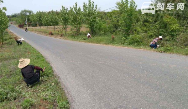 乡村道路限速多少