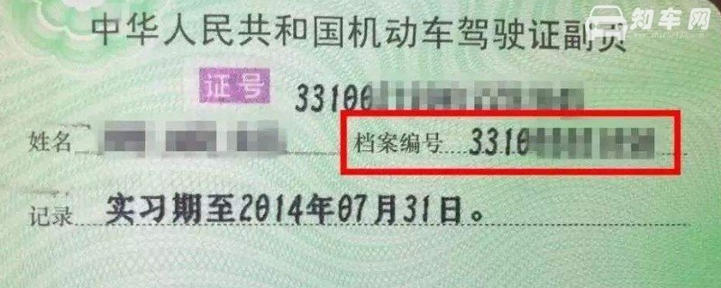 驾驶证的档案编号在哪里可以查询